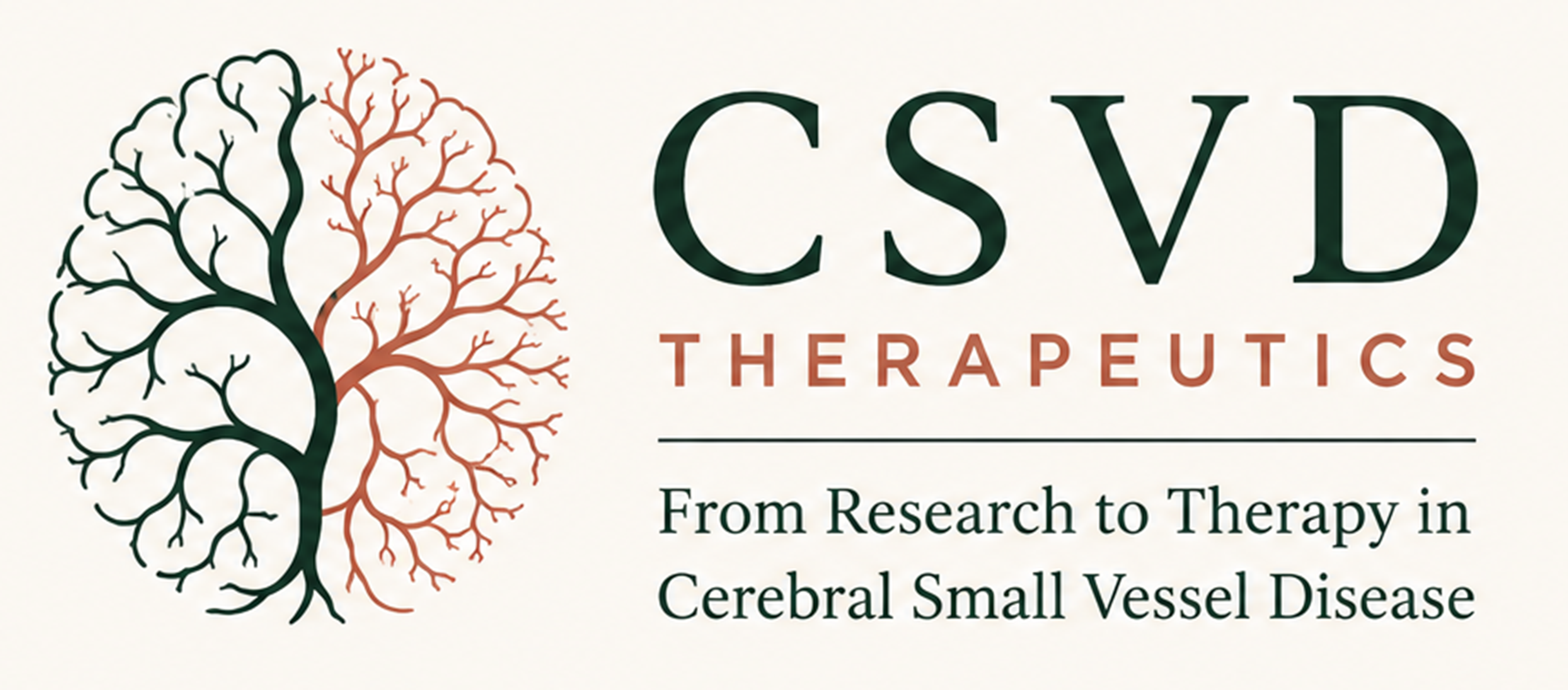 CSVD Therapeutics: From Research to Therapy in Cerebral Small Vessel Disease