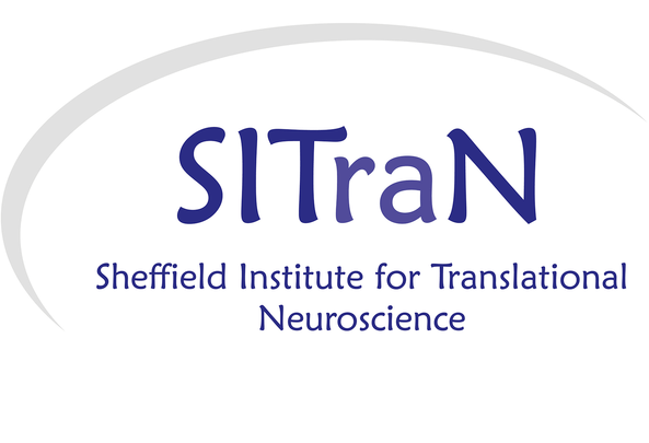 Sheffield Institute for Translational Neuroscience